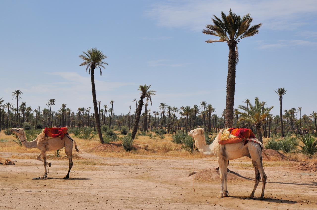 Riad Dar More Marrakesh Bagian luar foto